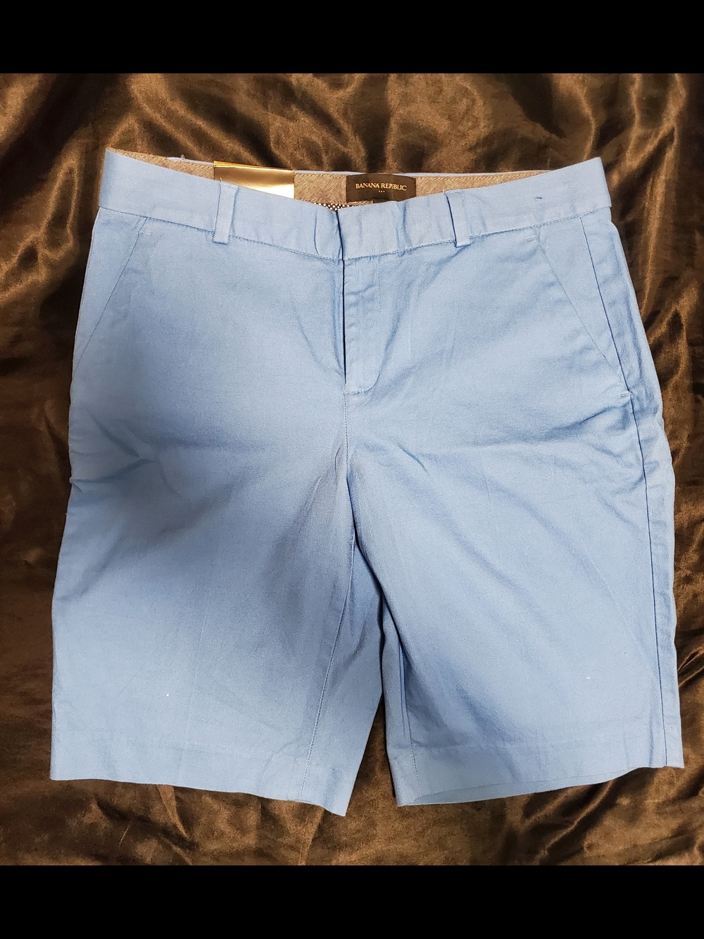 Banana Republic Womens Sky Blue Flat-Front Shorts